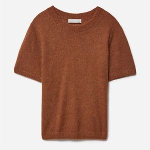 Everlane Alpaca Sweater Tee